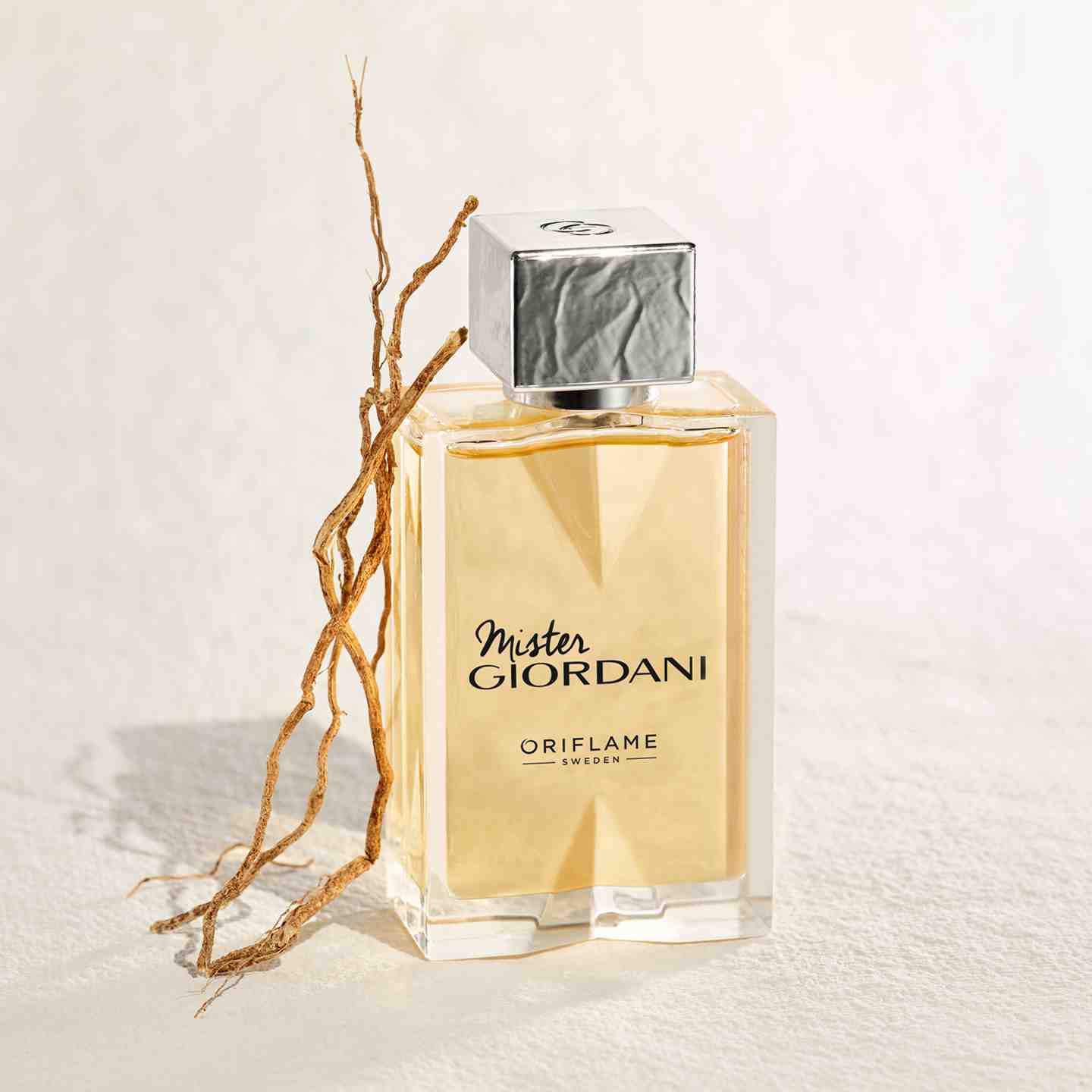 Mister Giordani For Man 75 ML